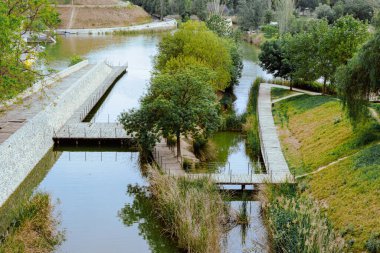 Tahta kaldırım yolları durgun sular, otlar ve ağaçlar arasında kıvrılarak yeşil bir parktaki köprüleri ve geçitleri oluşturur.