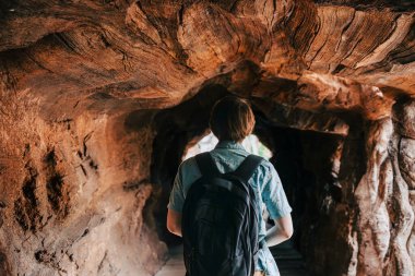 Sırt çantalı gezgin ağaç gövdesi, çevre turizmi, doğa keşfi gibi devasa tünellerde yürüyor.