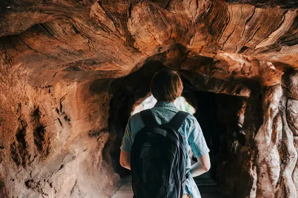Sırt çantalı gezgin ağaç gövdesi, çevre turizmi, doğa keşfi gibi devasa tünellerde yürüyor.