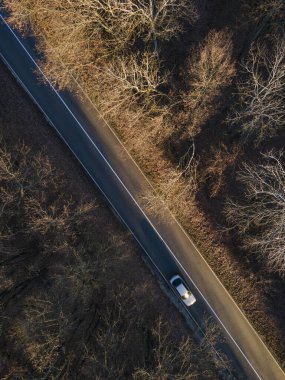 Sarı ve turuncu sonbahar ormanlarında beyaz arabalı kırsal yol manzarası