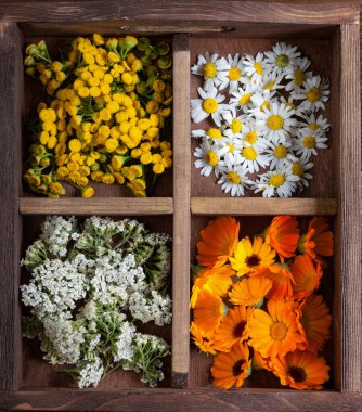 Şifalı bitkiler, masadaki eski ahşap kutuda duran tansy daisy calendula arrow..
