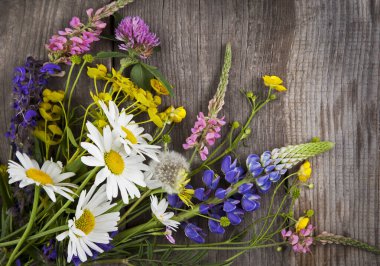 Eski grunge mavi ahşap arka plan (papatya lupine karahindiba kekik nane çanları tecavüz).