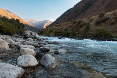 Kırgızistan 'da dağ nehri ve orman