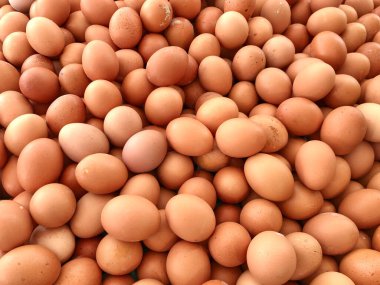 Yumurta, arka plan ya da yüzey olarak çiğ tavuk yumurtası yığını. Sağlıklı çiğ yiyecek konsepti fotoğrafı