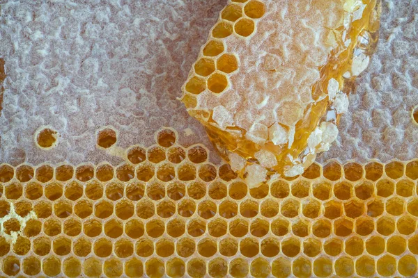 Honeycomb Closeup Top View Top View Honeycomb Honey Background Delicious — Stock Photo, Image