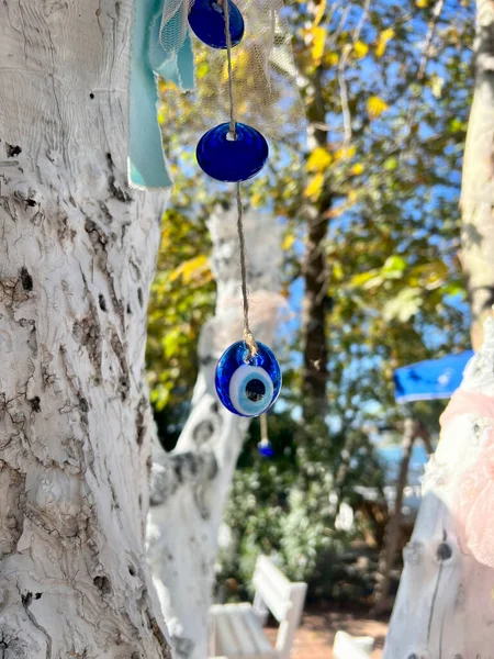 stock image evil eye beads, blue evil eye beads hanged on white colored tree in spring or summer in Turkey. superstitions for good luck and protection from bad evil in Turkey