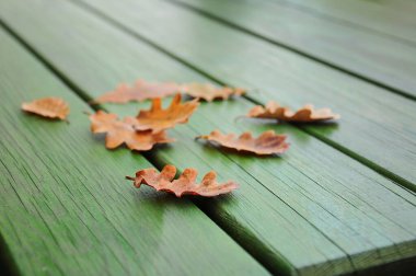 Sonbahar, yeşil ahşap piknik masasında kurumuş sarı yapraklar. Sonbahar sezonu arkaplanı ya da fotokopi alanı olan yüzey. kuru yapraklar yeşilde