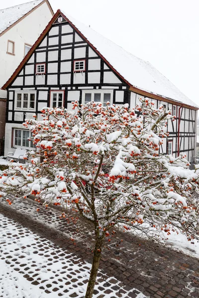 Křoví Růží Červené Bobule Pokryté Bílým Sněhem Poloroubený Dům Pozadí — Stock fotografie