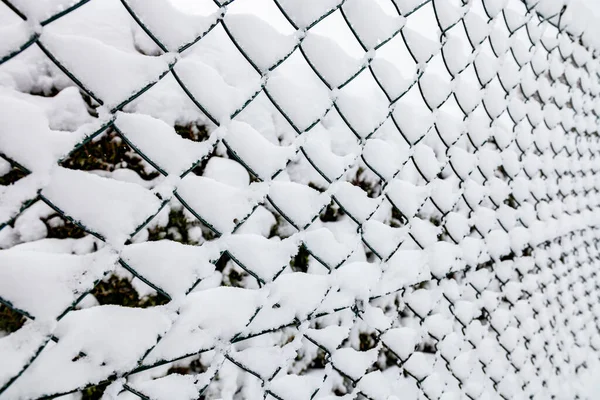 Łańcuch Ogniwo Ogrodzenie Tle Śniegu Zimie Zbliżenie — Zdjęcie stockowe
