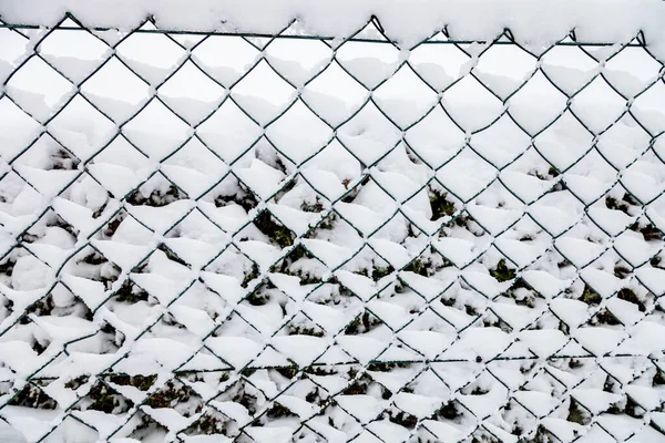 Kış Mevsiminde Kar Arkaplanlı Tel Örgüler Kapat — Stok fotoğraf