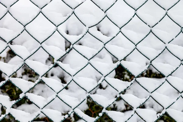 Забор Цепной Связи Снежным Фоном Зимнее Время Вблизи — стоковое фото