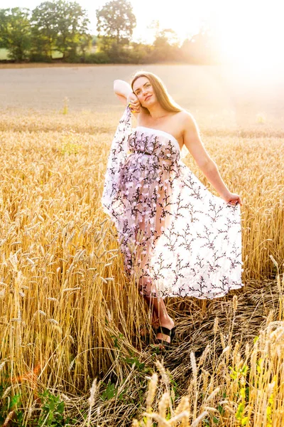 Těhotná Žena Pšeničném Poli Při Západu Slunce Létě — Stock fotografie