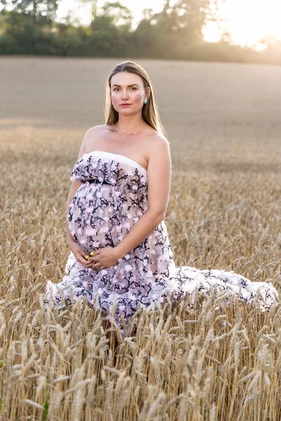 Zwangere Vrouw Tarweveld Bij Zonsondergang Zomer — Stockfoto