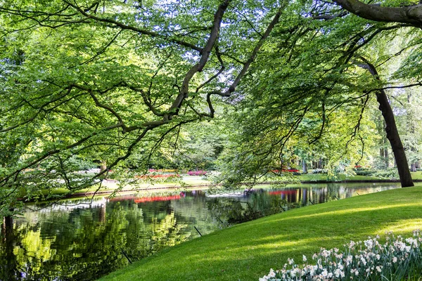 Bellissimo Parco Con Aiuole Fiorite Prato Verde Laghetto Primavera — Foto Stock