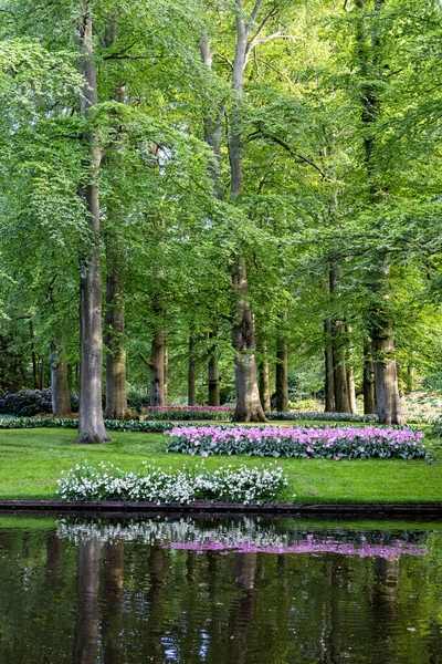 Bellissimo Parco Con Aiuole Fiorite Prato Verde Laghetto Primavera — Foto Stock