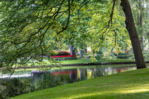 Mooi Park Met Bloeiende Tulpenbedden Groen Gazon Vijver Het Voorjaar — Stockfoto