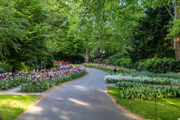 Lit Fleurs Avec Tulipes Fleurs Jonquilles Dans Parc — Photo