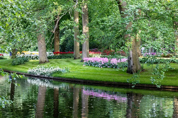 Vacker Park Med Blommande Tulpaner Grön Gräsmatta Och Damm Våren — Stockfoto