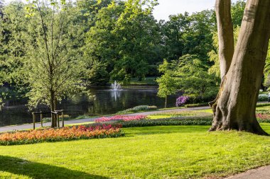 Baharda çiçek açan lale yatakları, yeşil çimenleri ve göleti olan güzel bir park.