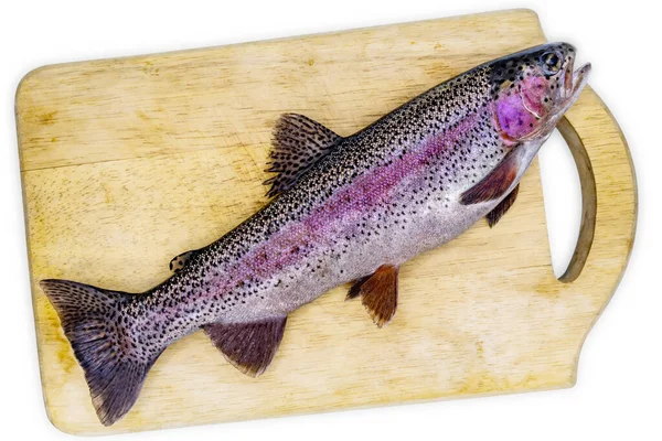Rainbow Trout Cutting Board Isolated White Background Clipping Path Included — Stock Photo, Image