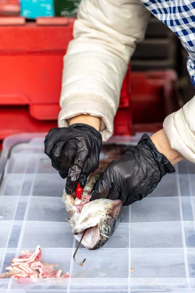Woman Guts Rainbow Trout Fish Removes Gills Preparing Hot Smoking — Stock Photo, Image