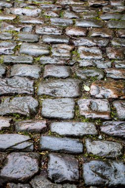 Eski kaldırım taşları yağmurdan sonra ıslanır.