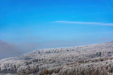Kış ormanı, mavi gökyüzünün arka planında buzla kaplı ağaçlar, güzel manzara.