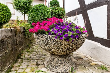 Ortaçağ şehrinin kaldırımında çiçekli büyük saksı