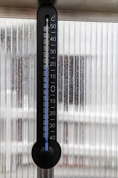 An alcohol thermometer measures the temperature in a polycarbonate greenhouse