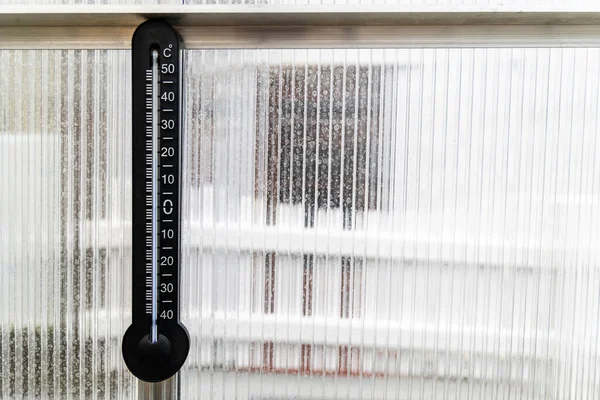 Алкогольный Термометр Измеряет Температуру Поликарбонатной Теплице — стоковое фото