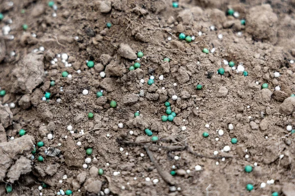 Fertilizantes Minerales Granulados Encuentran Superficie Del Suelo —  Fotos de Stock