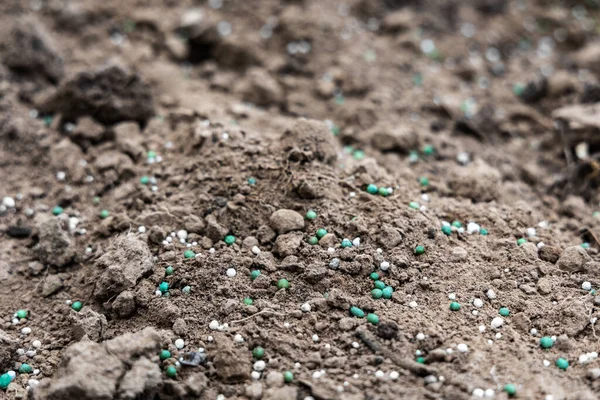 Fertilizantes Minerales Granulados Encuentran Superficie Del Suelo —  Fotos de Stock