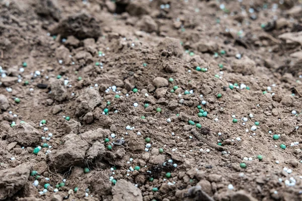 矿化肥料在土壤表面上 — 图库照片