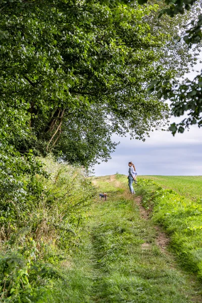 Una Donna Con Cane Passeggio Nel Campo — Foto Stock