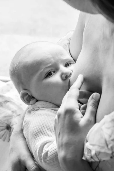Baby Sucks His Mother Breast Milk Close Portrait Monochrome Photo — Stock Photo, Image