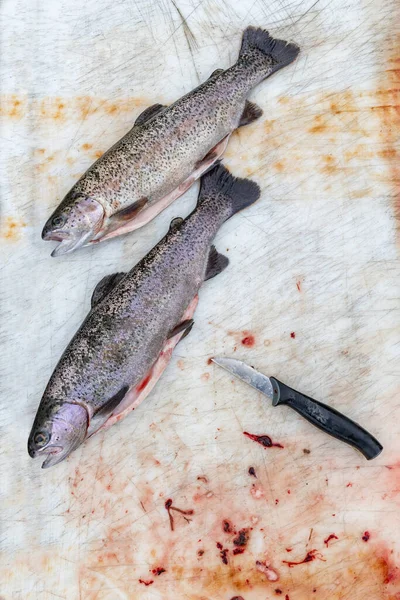 Ausgenommene Forellenfische Liegen Auf Einer Mit Blut Befleckten Marmortischoberfläche — Stockfoto