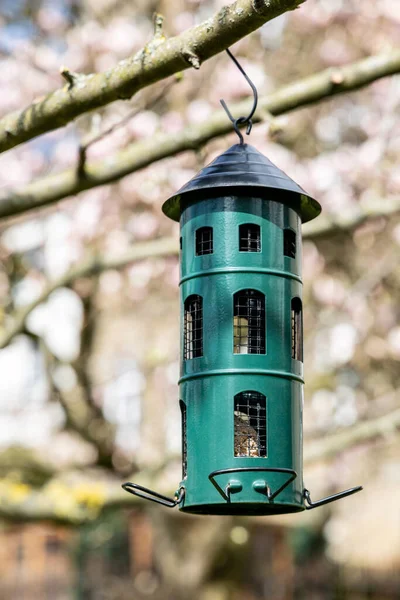 Metal Bir Kuş Besleyicisi Bahçedeki Bir Ağaç Dalına Asılmış — Stok fotoğraf