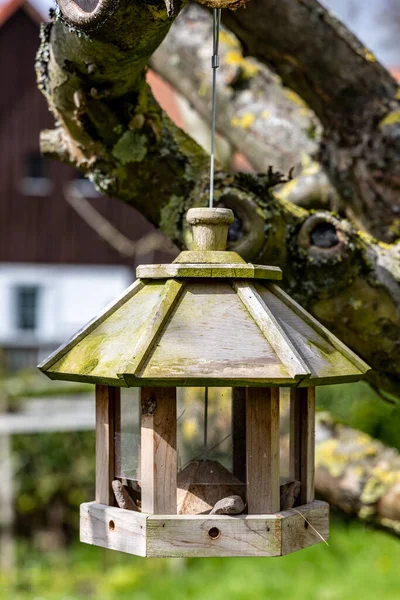 Tahta Bir Kuş Besleyicisi Bahçedeki Bir Ağaç Dalına Asılmış — Stok fotoğraf