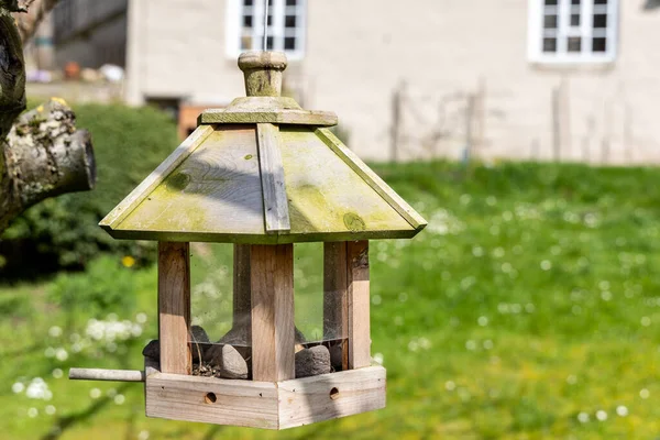 Alimentatore Uccelli Legno Pende Ramo Albero Nel Giardino — Foto Stock