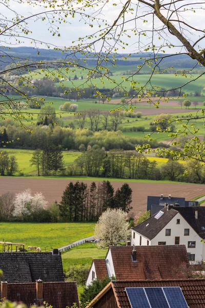 Beautiful Rural Landscape Spring Houses Foreground Green Fields Forest Strips — Stock Photo, Image
