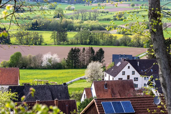 Beautiful Rural Landscape Spring Houses Foreground Green Fields Forest Strips — Stock Photo, Image