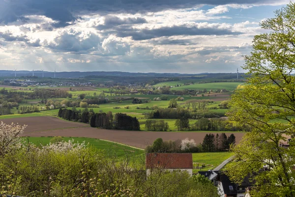 春天美丽的乡村风景 开花的菜地 冬小麦的绿地 白云的蓝天 德国北莱茵 威斯特法伦州的土地 — 图库照片