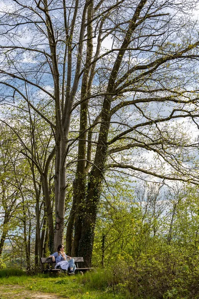 Ensamstående Kvinna Sitter Bänk Ett Stort Träd Våren — Stockfoto