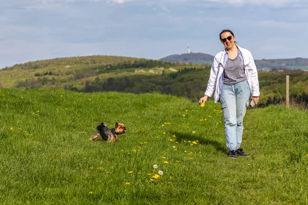 Bir Kadın Bir Köpek Baharda Yeşil Bir Çayırda Yürüyorlar Çok — Stok fotoğraf