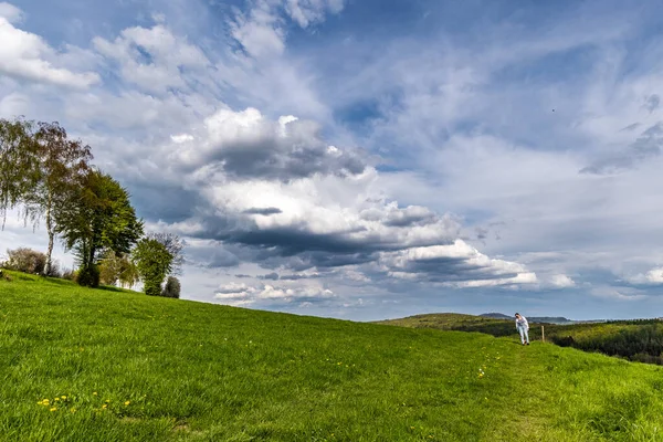 Una Donna Cane Camminano Prato Verde Primavera Bellissimo Paesaggio — Foto Stock