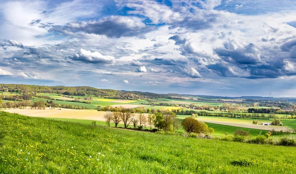 Prachtig Voorjaarslandschap Met Groene Weiden Lucht Met Pittoreske Wolken Aan — Stockfoto