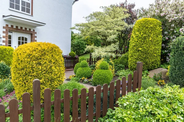 Decoratieve Bijgesneden Struiken Tuin Buurt Van Het Huis — Stockfoto