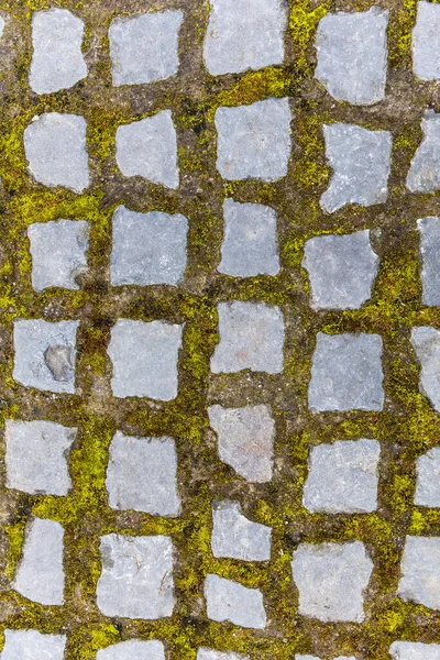Üstü Yosun Kaplı Antik Kaldırım Taşları — Stok fotoğraf