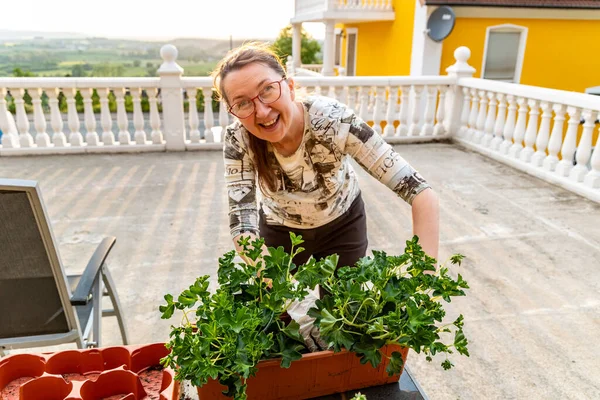 彼女の家のテラスに花の鍋にジェラニウムを植える女性 — ストック写真