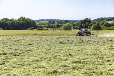 Bir traktör güneşte kuruyan otları karıştırır.